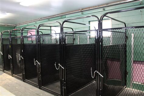 used cage kennel doors